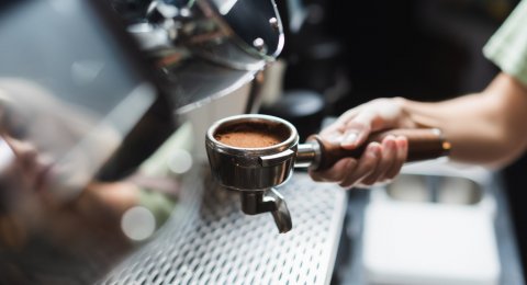 Barista